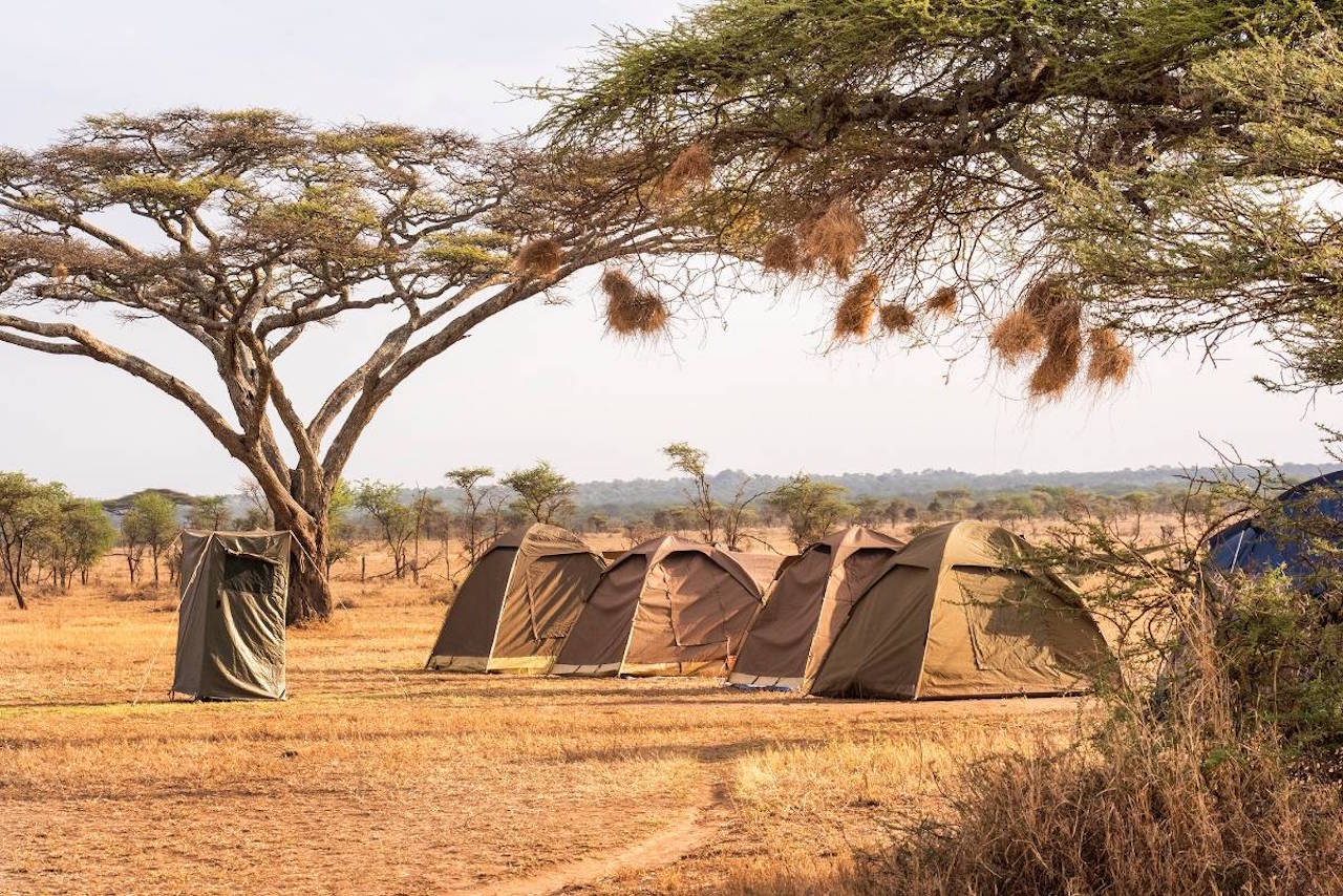 Budget Safari Tanzania: What Gear Do You Actually Need?